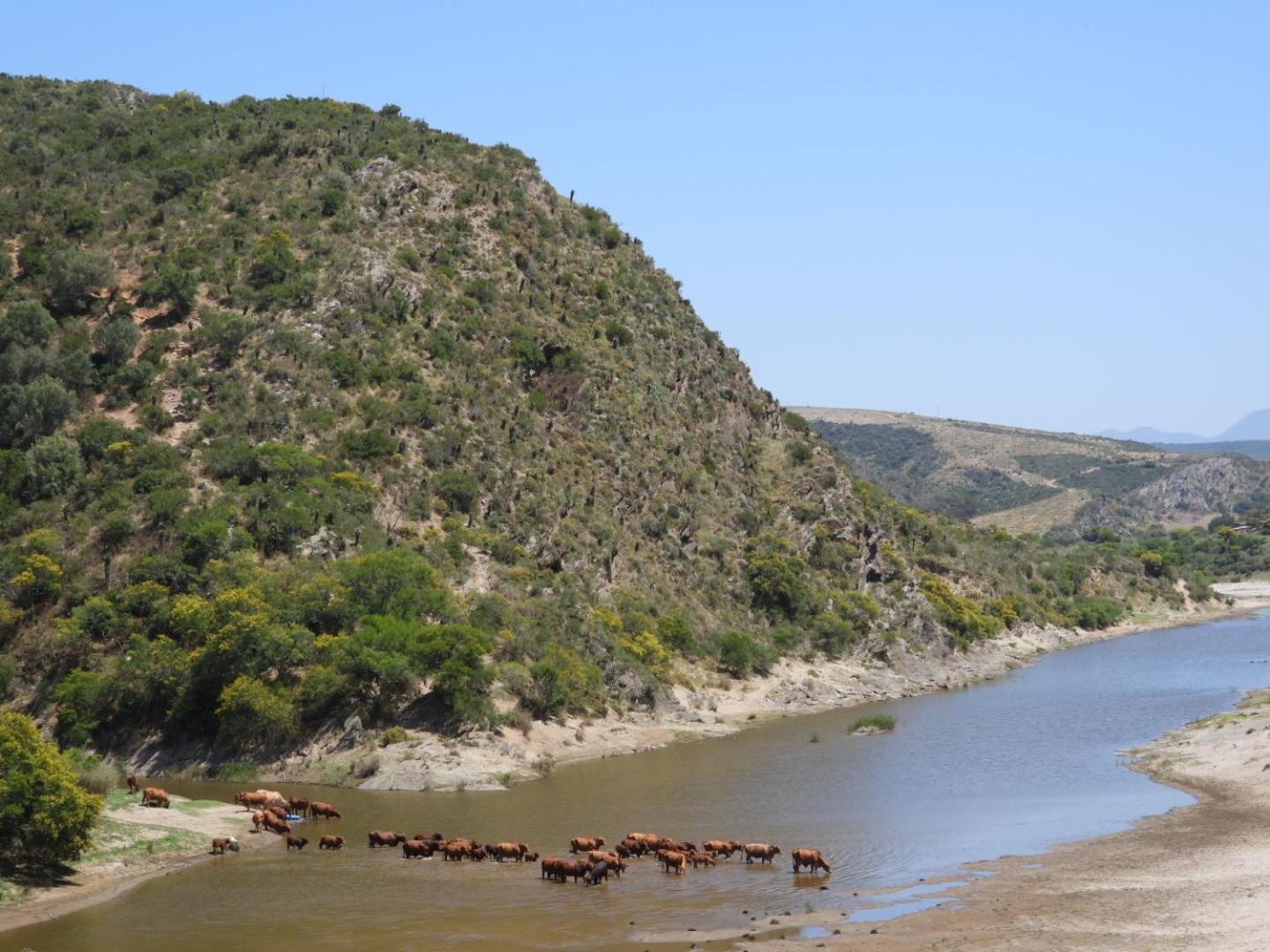 Gourits River Guest Farm Albertinia Exterior foto